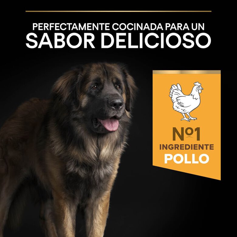 Pro Plan Adult Large Robust Optibalance Pollo pienso para perros, , large image number null